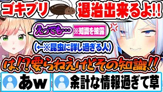 昆虫博士の前で意外な特技を話した結果G退治が出来ない身体になってしまう天音かなたｗ【ホロライブ 切り抜き Vtuber 天音かなた 桃鈴ねね】