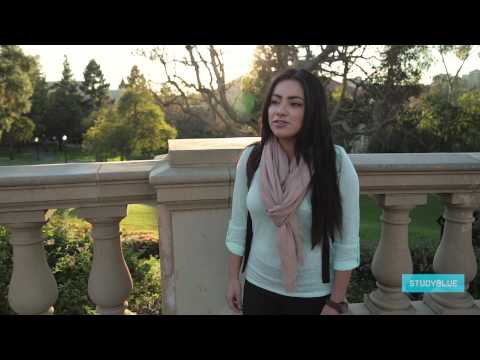 StudyBlue Flashcards & Quizzes Video