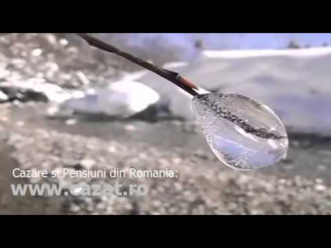 Cazare Plopu Amarasti, Dolj - Cazat.ro