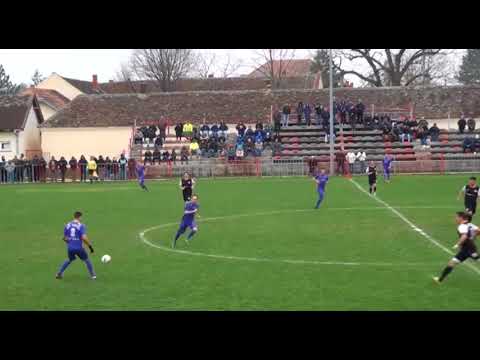 Nemanja Petrovic highlights 2018