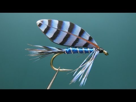 Fly tying / Blue Jay Wet Fly. "FlyTier's Eyes. No.41"