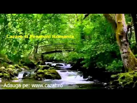 Cazare Buzescu, Teleorman - Cazat.ro