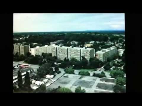 Freiburg Landwasser und seine aktivsten Vereine