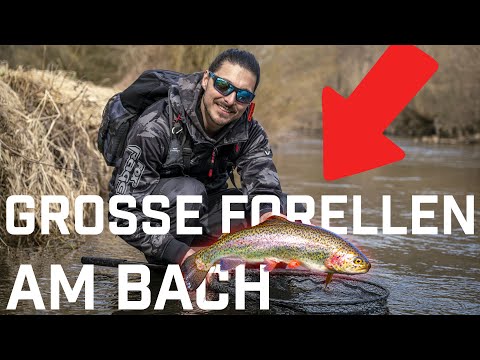 Angeln am Bach mit kleinen Ködern auf GROSSE Forellen!