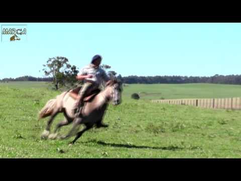 LOTE 02   ILHAPA DA VENDRAMIN