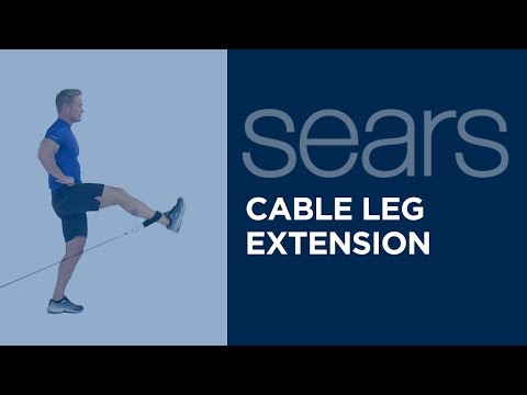 Cable Leg Extension