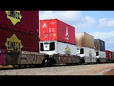 Freight Train (3MP5)