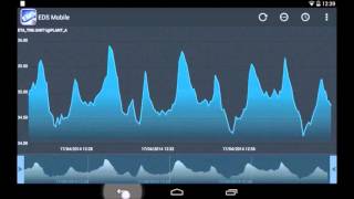 EDS - Enterprise Data Server – Mobile client
