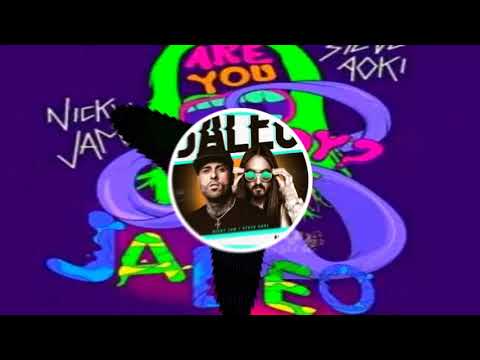 Nicky Jam X Steve Aoki Jaleo (Remix Dj Valdis)