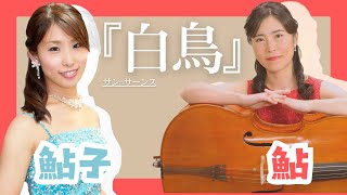 Download lagu サン=サーンス「白鳥」チェロ＆ピアノコラボ演奏 |名曲クラシック mp3