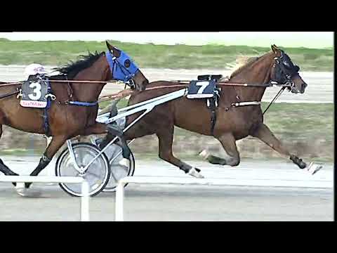 Napoli Trotto 27/01/2023 - 2ª corsa