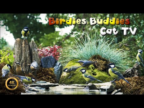 Cat TV for cats to watch 🐈 -  TITMICE IN THE GARDEN 🦜🌿 (4K)