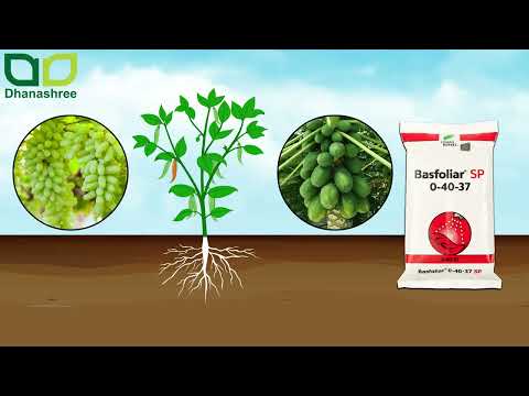 Basfoliar 0.40.37 SP