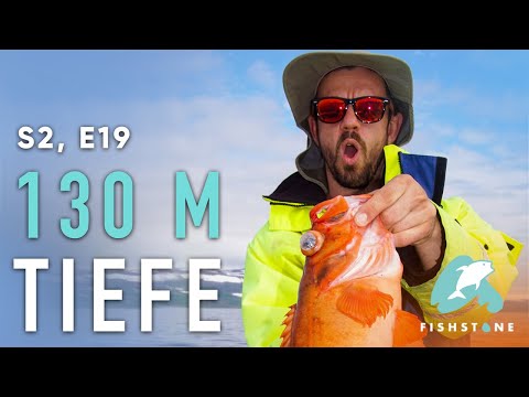 S2E19 - Ein perfekter Angeltag - FISHSTONE's Angelwelten