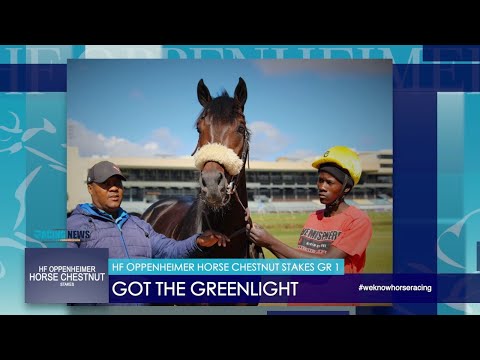 HF OPPENHEIMER HORSE CHESTNUT STAKES : GOT THE GREENLIGHT