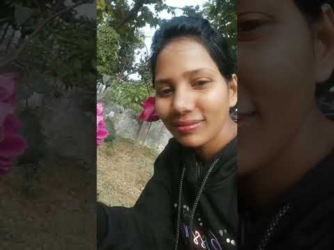 #rose #shorts #youtubeshorts