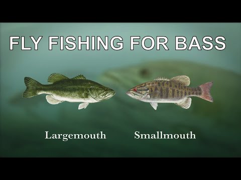 Basics of Fly Fishing for Bass with Tom Rosenbauer