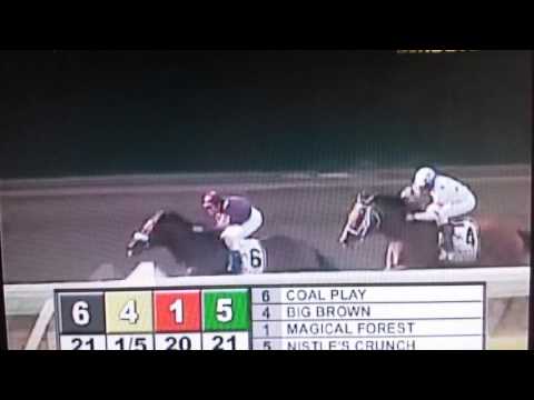 2008 Haskell --Big Brown WITH MUSIC!!!