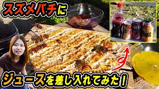 甘党のスズメバチはジュースも飲む！？コーラやオレンジジュースを差し入れて好みを探ってみた！
