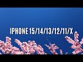Full Screen Video For Apple IPhone 15 14 13 12 All Models 4K 19 5 9 Cinematic Aspect Ratio