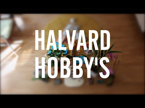 Halvard - Hobby's (Official Video)