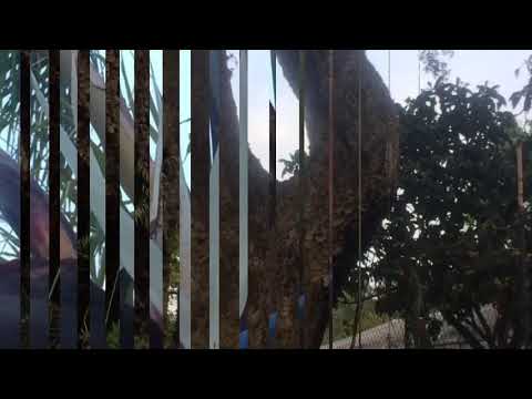 Aleandro Baldi e Francesca Alotta-Non amarmi