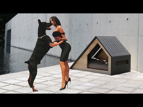 Estos son los perros del futuro