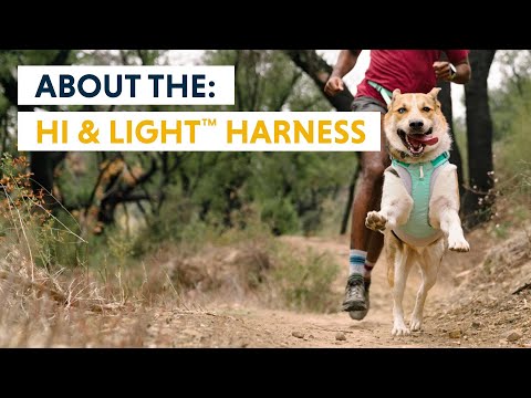 Hi & Light™ Harness