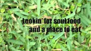 Lou Reed   Walk On The Wild Side (lyrics)