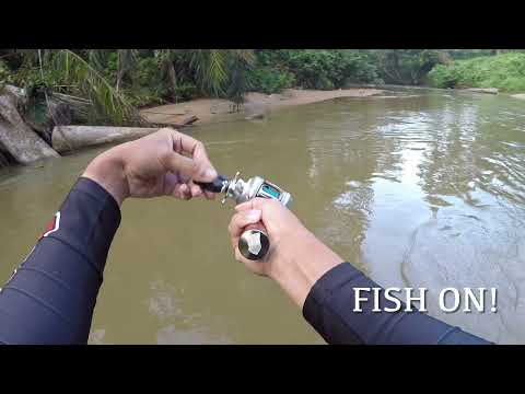 Ultralight Fishing | Stream Fishing Frenzy Hampala/Sebarau.