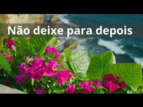 Não deixe para depois - Momento Espírita