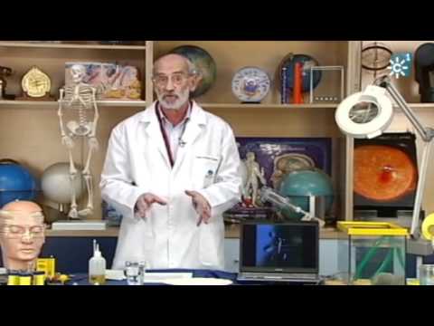 "Tecnópolis" domingo 17 de julio de 2011