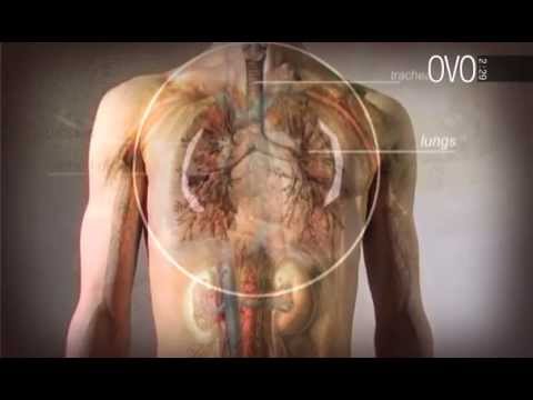 Trattamento rimedi articolazioni scricchiolanti popolari Semplici esercizi con osteocondrosi seno