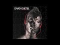 David Guetta - 133 - patrick grondines David Guetta - 133
