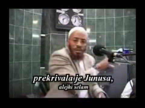 Muslimani, ko je kriv...