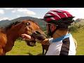 Animal Encounters But They Get Crazier