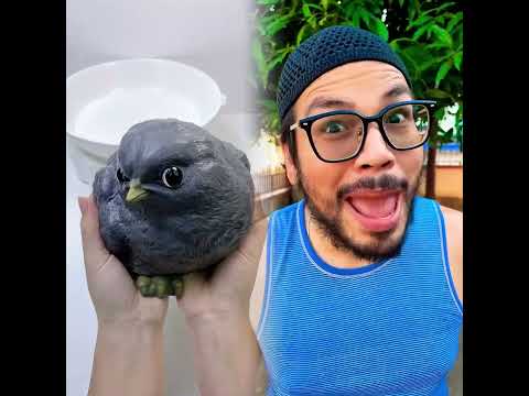 #illustration #tattoo #artting #pov #procreate #drawing #whydidntmyexcomeback #digitalart #pourtoi