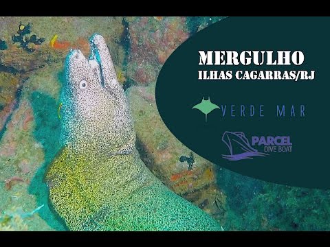 MERGULHO: Ilha Comprida com Parcel Dive Boat - Ilhas Cagarras dia 14/01/16