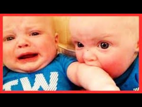 Funny Twin Babies Fight Over Everything - Funny Baby