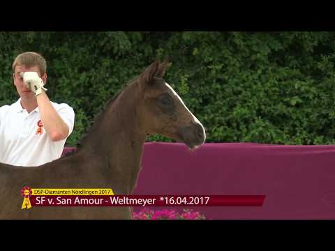 Whitney Houston SF v. San Amour - Weltmeyer