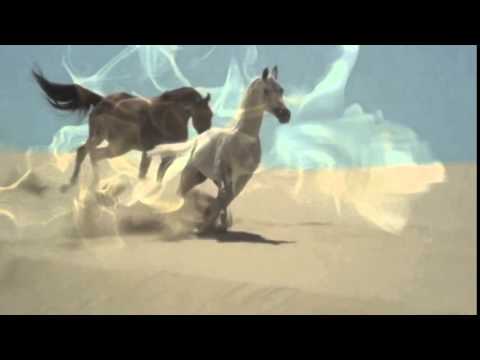 Igor Semchenko  - The Desert Star