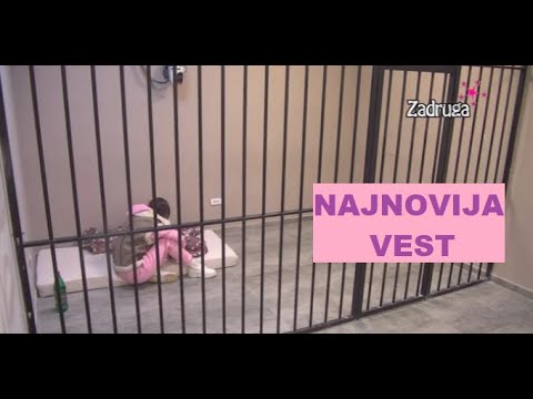 I Anđela POSETILA "KOLEDž" - OPŠTI HAOS i DRAMA NAKON ANKETE NAJNARCISOIDNIJE #zadruga #zadrugainfo