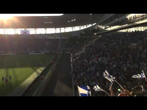 KAA Gent - Standard 2-0  KAMPIOEN 2014-2015 BUFFALO KAA GENT