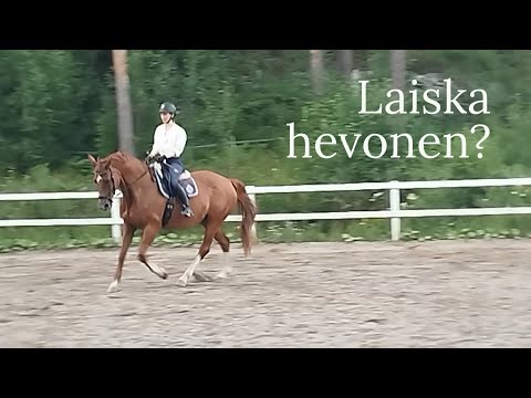Miten ratsastaa "laiskaa" hevosta?