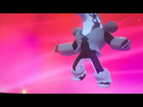 Linoone evolution Pokemon sword and shield