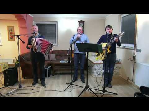 Dolenjski trio - Pomladna