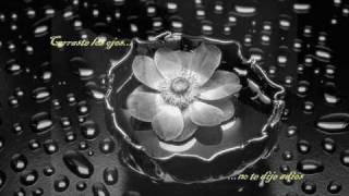 Entre flores - Efecto mariposa (by me)