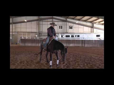 Trevor Dare Part 2 of 2