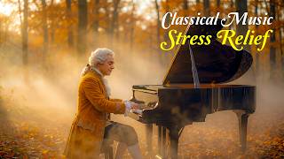 Download lagu リラックスできるクラシック音楽: ストレス解消のためのモーツァルト、ショパン、ベートーベン、バッハ mp3