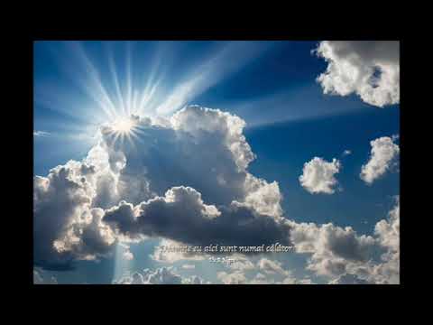 Doamne eu aici sunt numai calator - Ilie A Negru